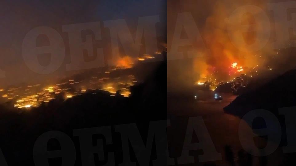 4270135360468335 image