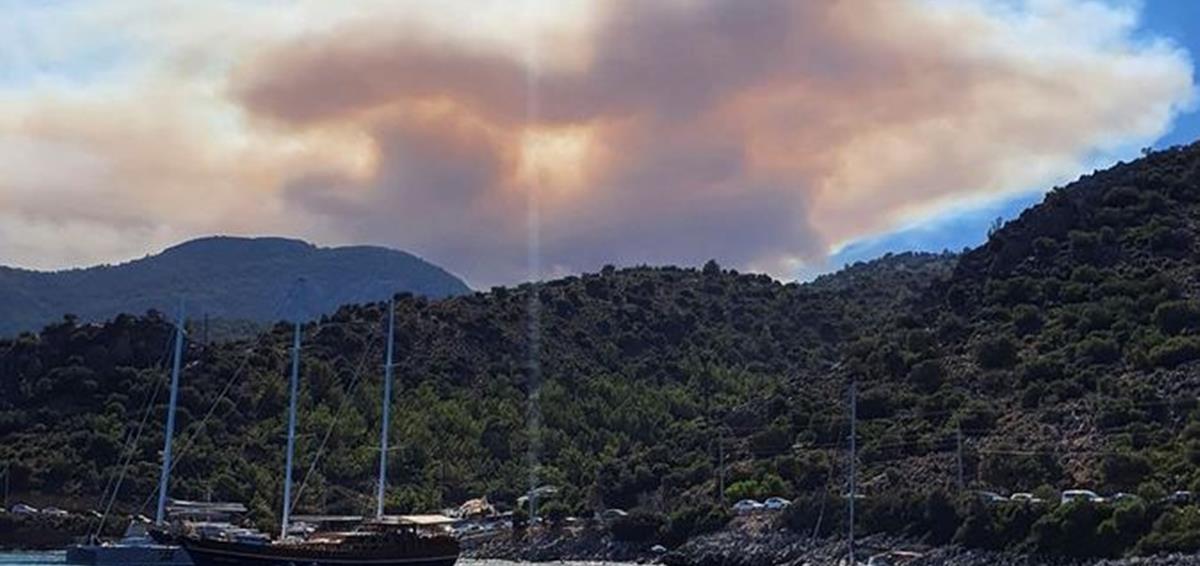 4270399986913151 fotia-8