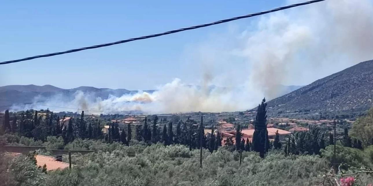 4271178524705867 image