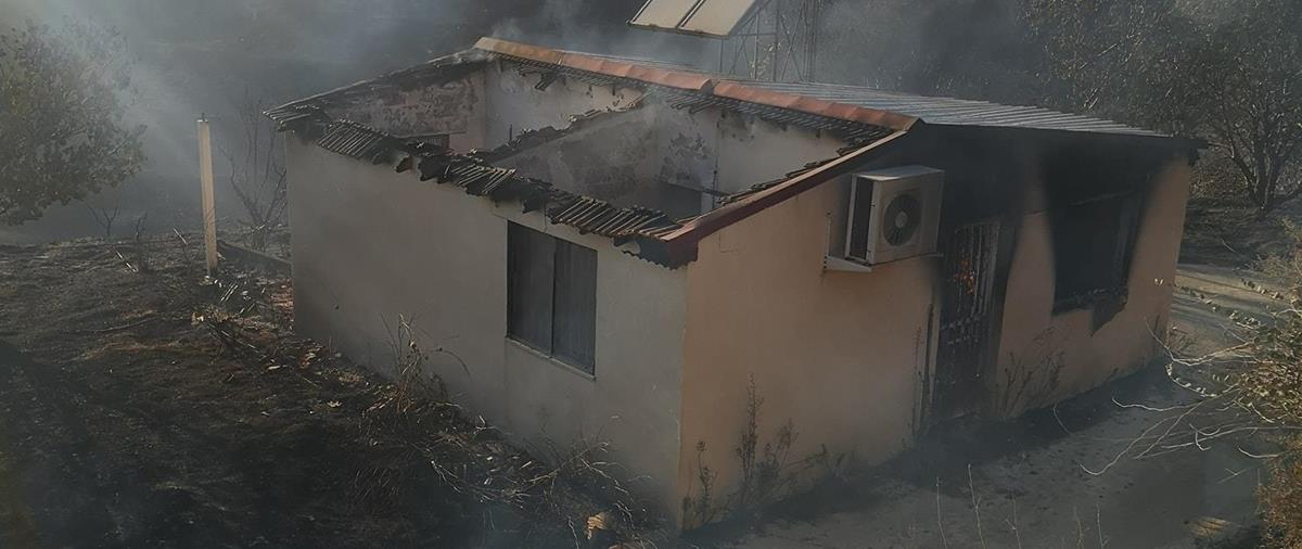 4275616987956778 cache 846x3000 Analog medium 981541 589266 1972022