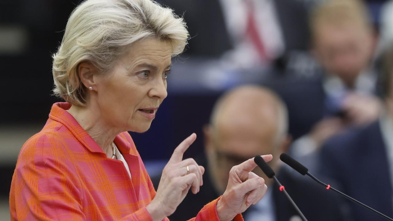 4275715162196102 von-der-leyen ap