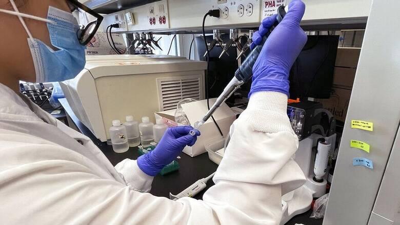 4276266211591599 image