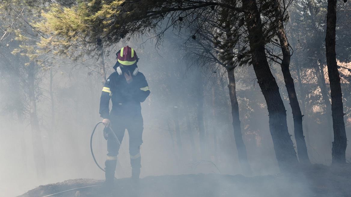 4276422937816769 image