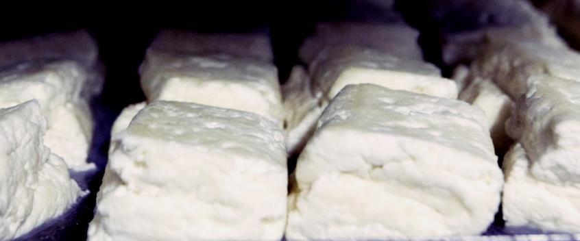 4276445626902231 cache 846x3000 Analog medium 980642 27588 1772022