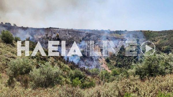 4276451625726231 image