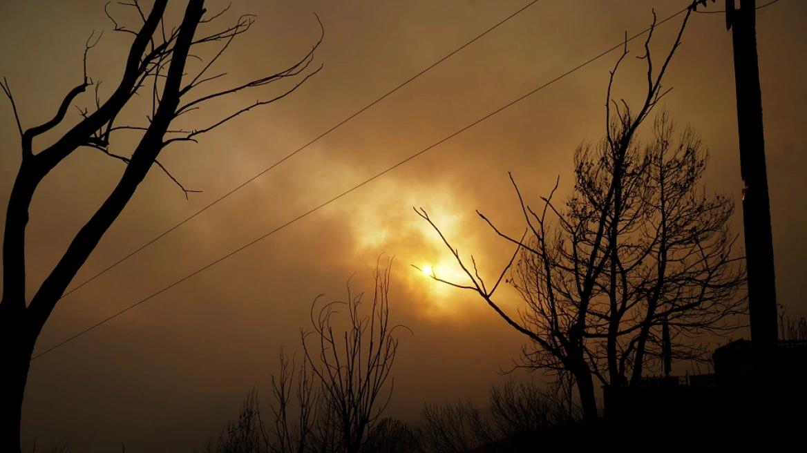 4277051053337102 image