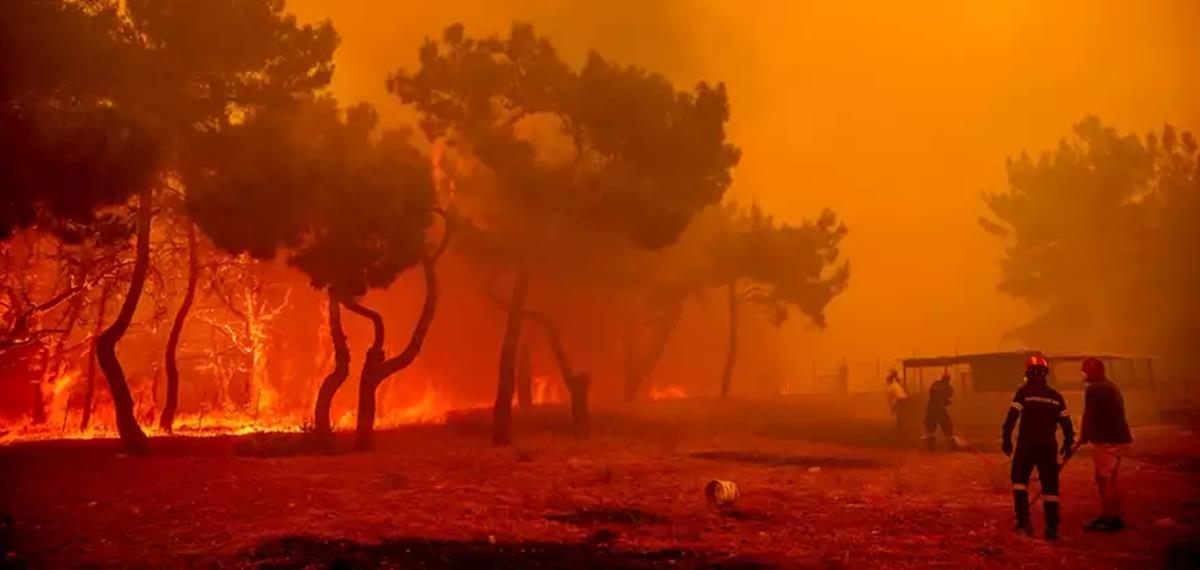 4278254537067682 570