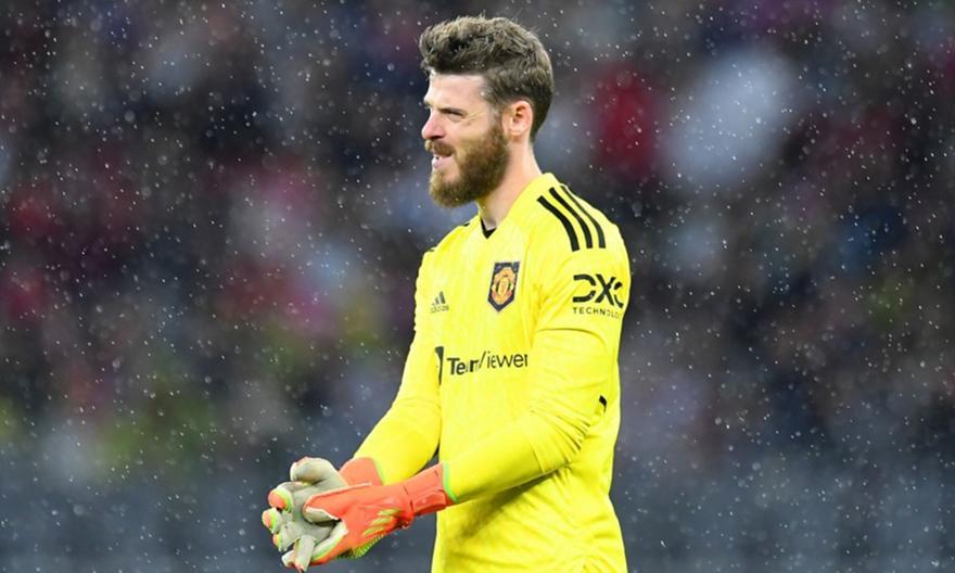 4278343200794329 de-gea 174559