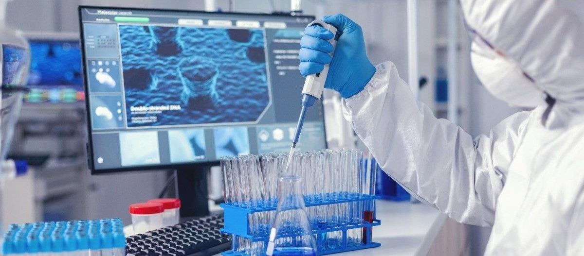 4278829241972488 223