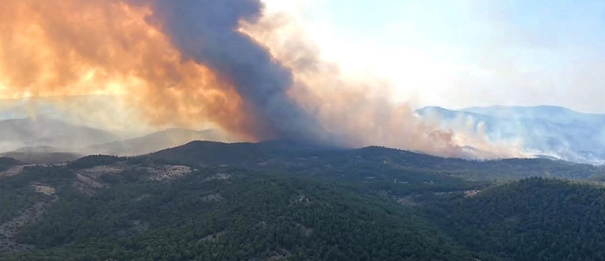 4278883044813449 118