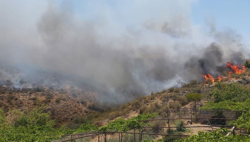 4278972361256770 image