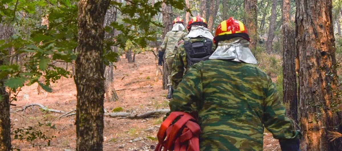 4278962419568497 520