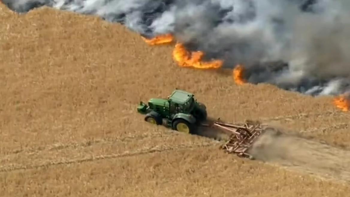 4279042921462852 image