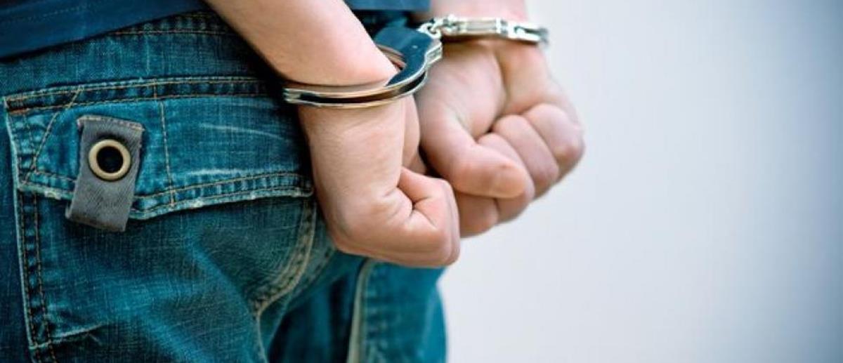 4279665711431132 517