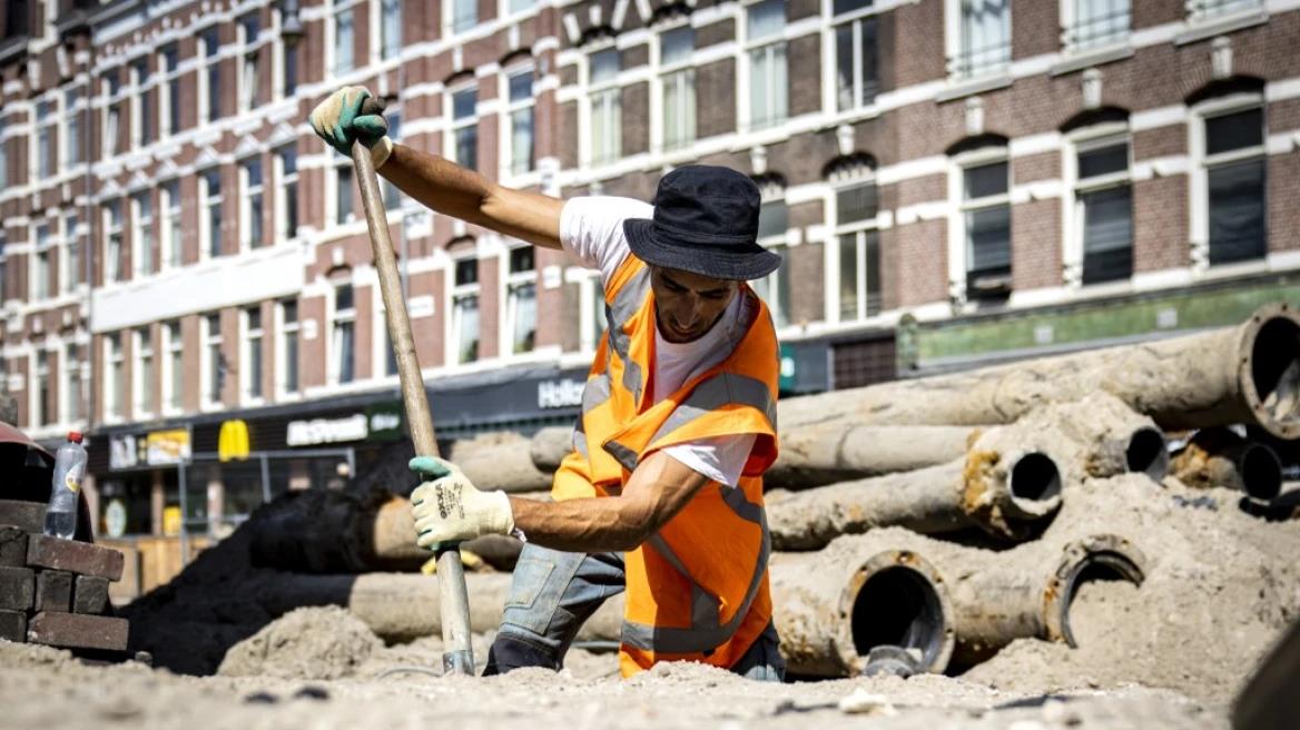 4279713276034834 image