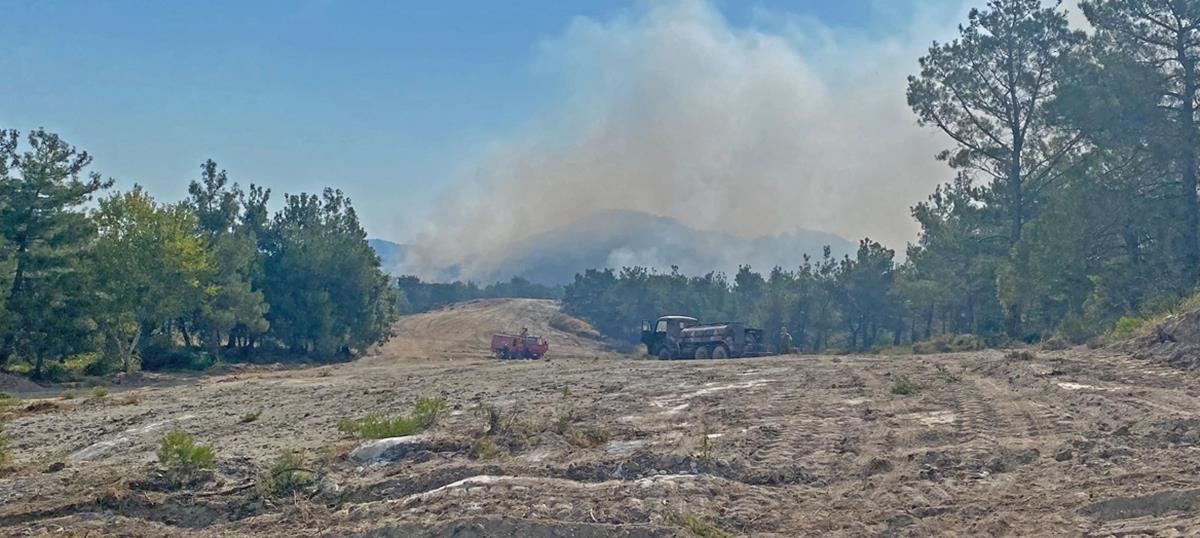 4279742274477302 360