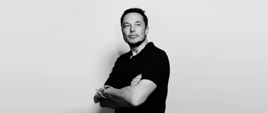 4279848310274393 ELON MASK 1