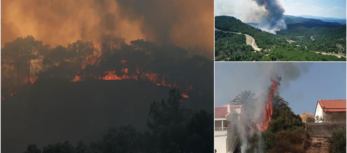 4279926050498715 331