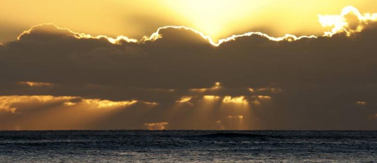 4281377331674170 444