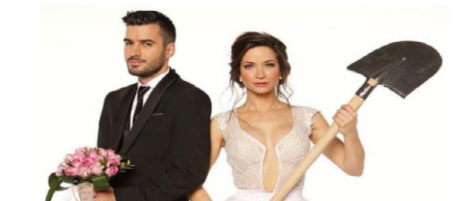 4283229488502964 Untitled