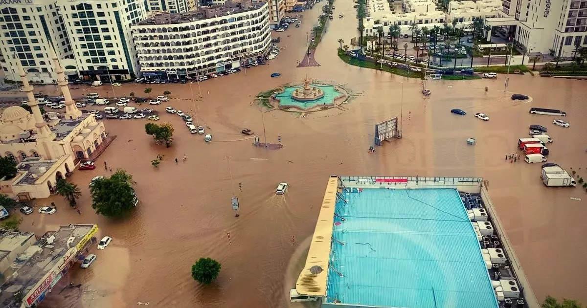 4283629097032793 image