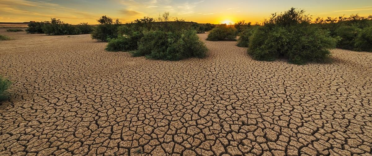 4280867419858332 164902730 4320237958003990 1318014196556329183 n