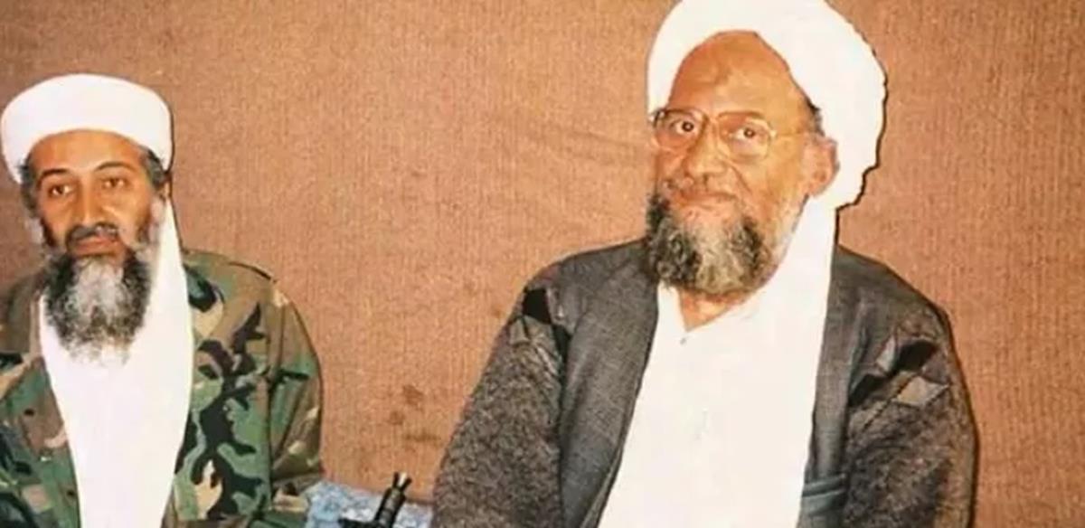 4286827489671058 584