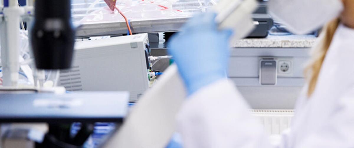 4287556776209503 330