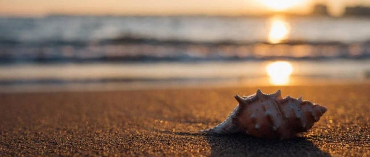 4287580094882020 239a7cd6-d584-4040-ac0b-bd5fdab7afad d217f80a-acb0-4e01-af69-eaf6626bae65 3576f614-89cf-4f33-bc64-ee8095d5cc8a zesti