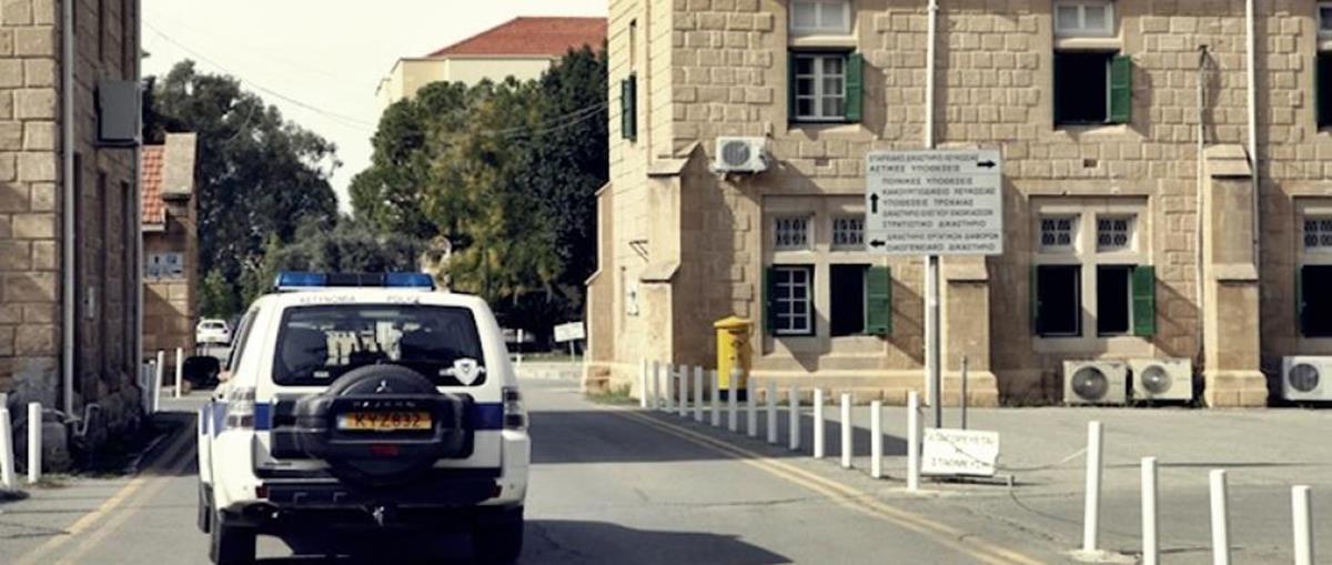 4287662072461254 cats