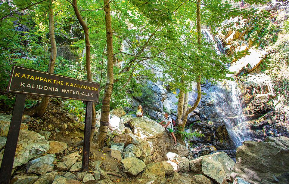 4289447414514889 image