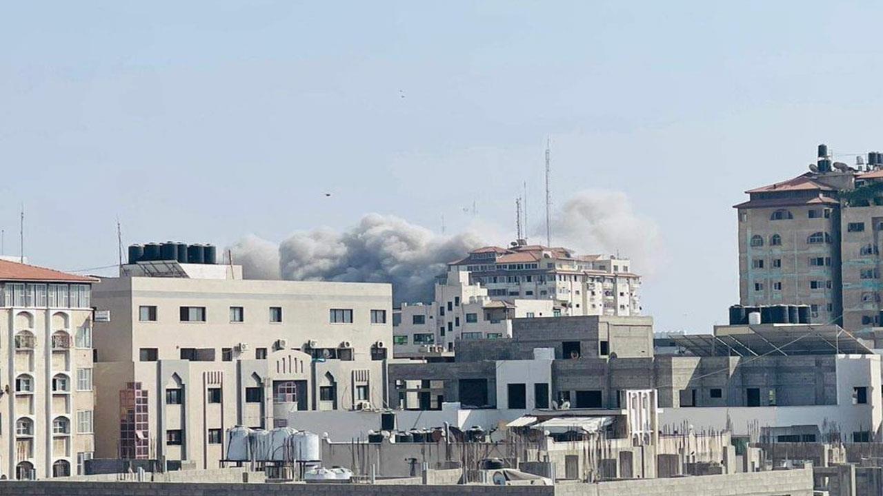 4289575091592050 image