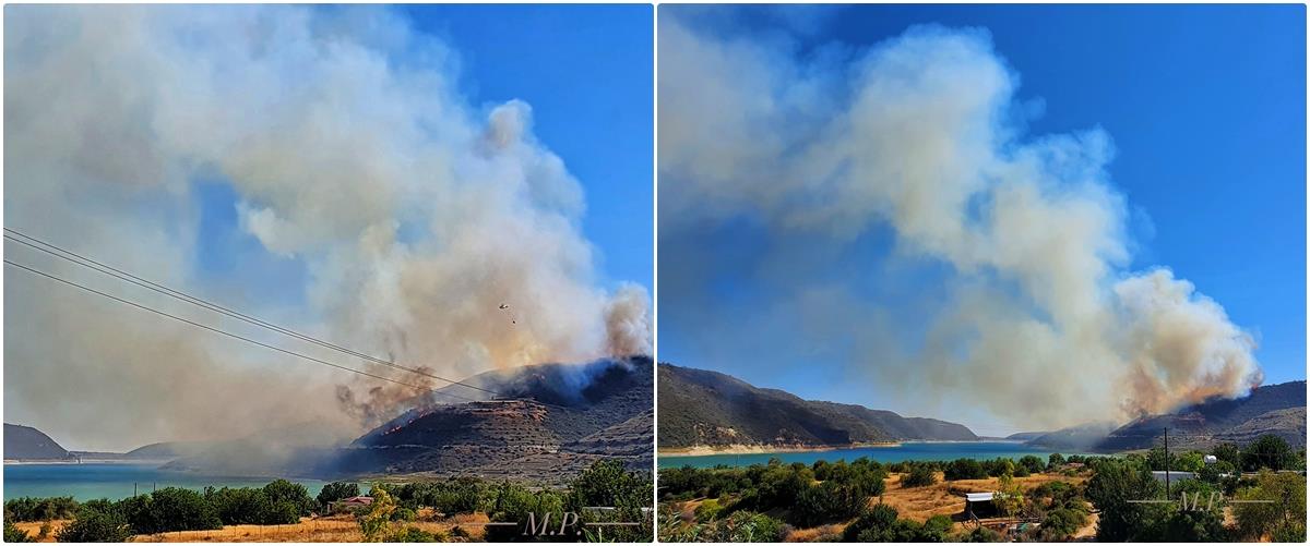 4290397542617367 900