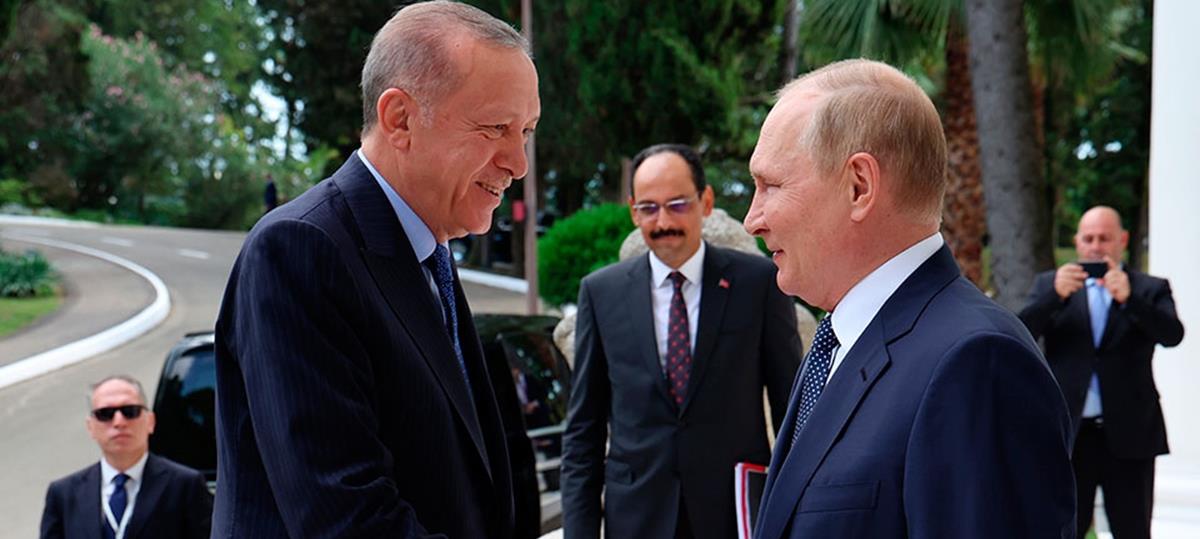 4290442737645841 AP22217511492415-1