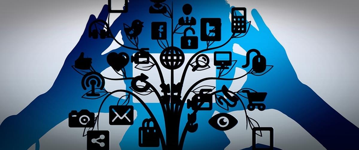 4275503621286686 tree-3055711 960 720