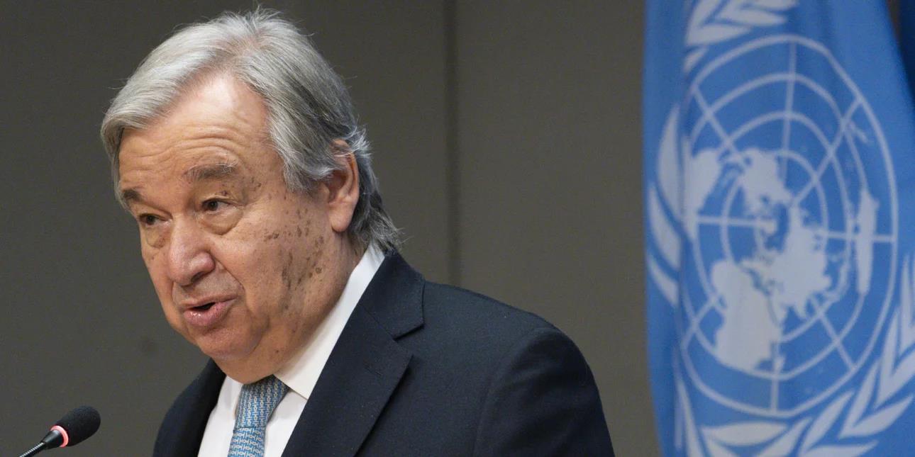 4291776026493360 image