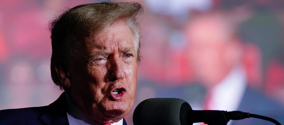 4293474179813354 331