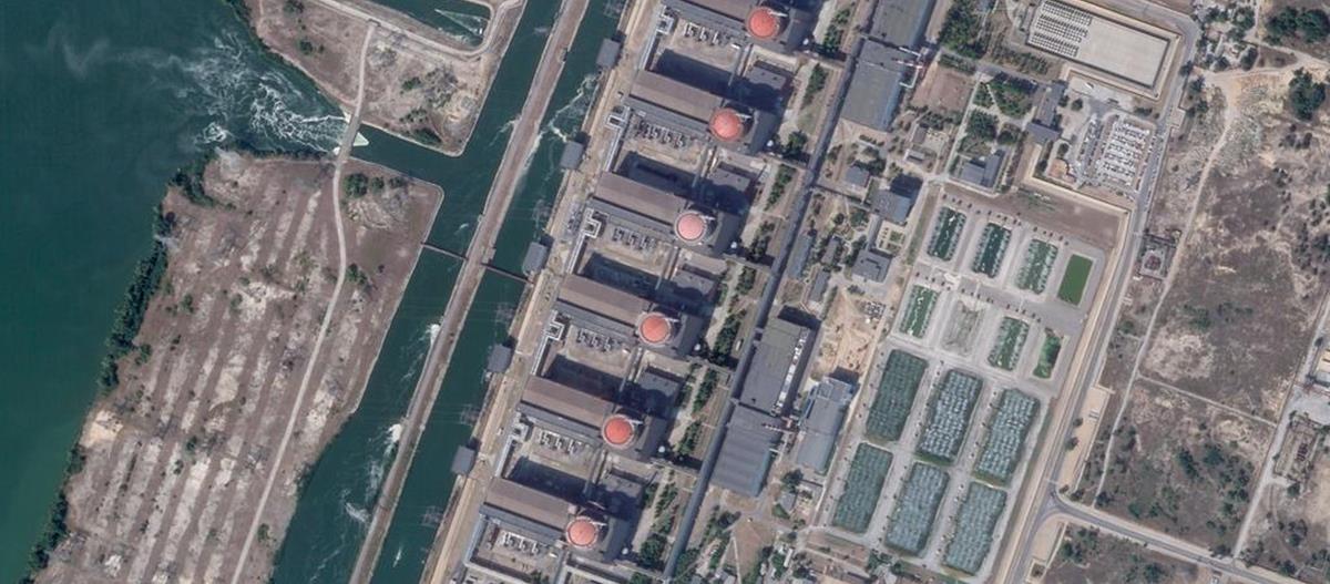 4293715116241743 61007853 101