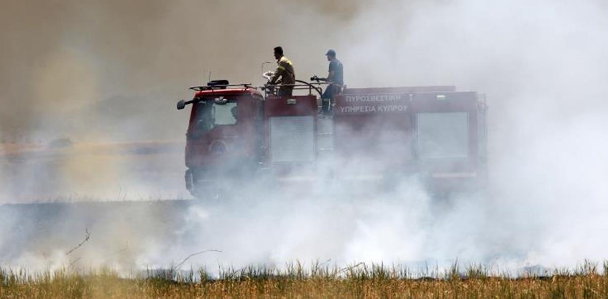 4294567090041822 pirkagia