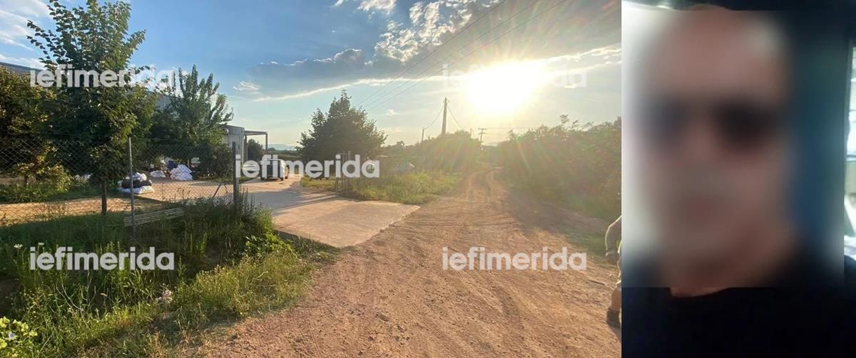 4294603902076993 304