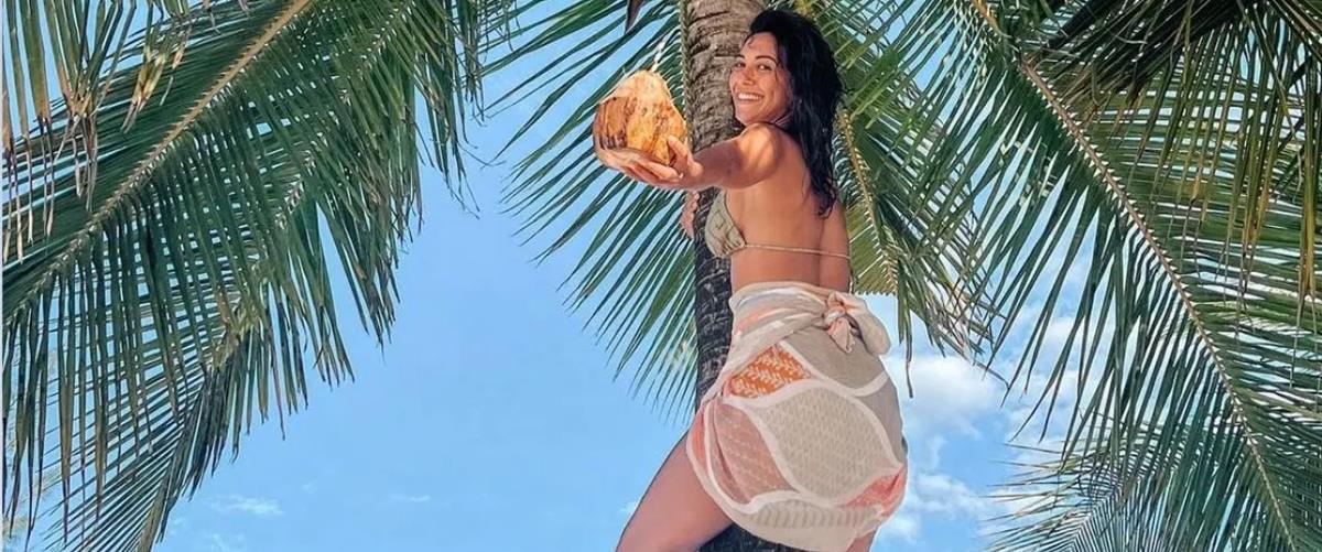 4295318940291071 cats