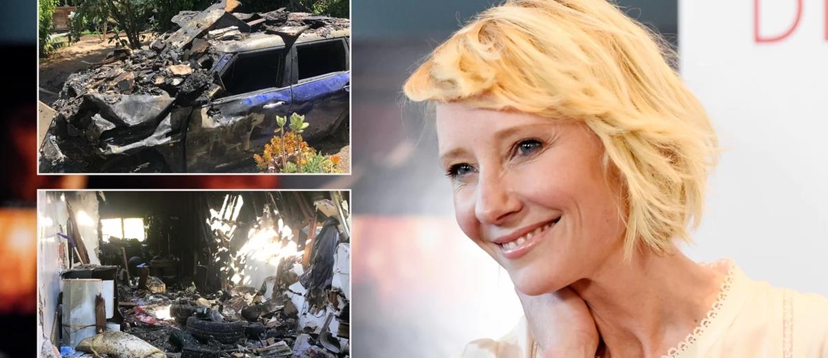 4295450681078020 cats