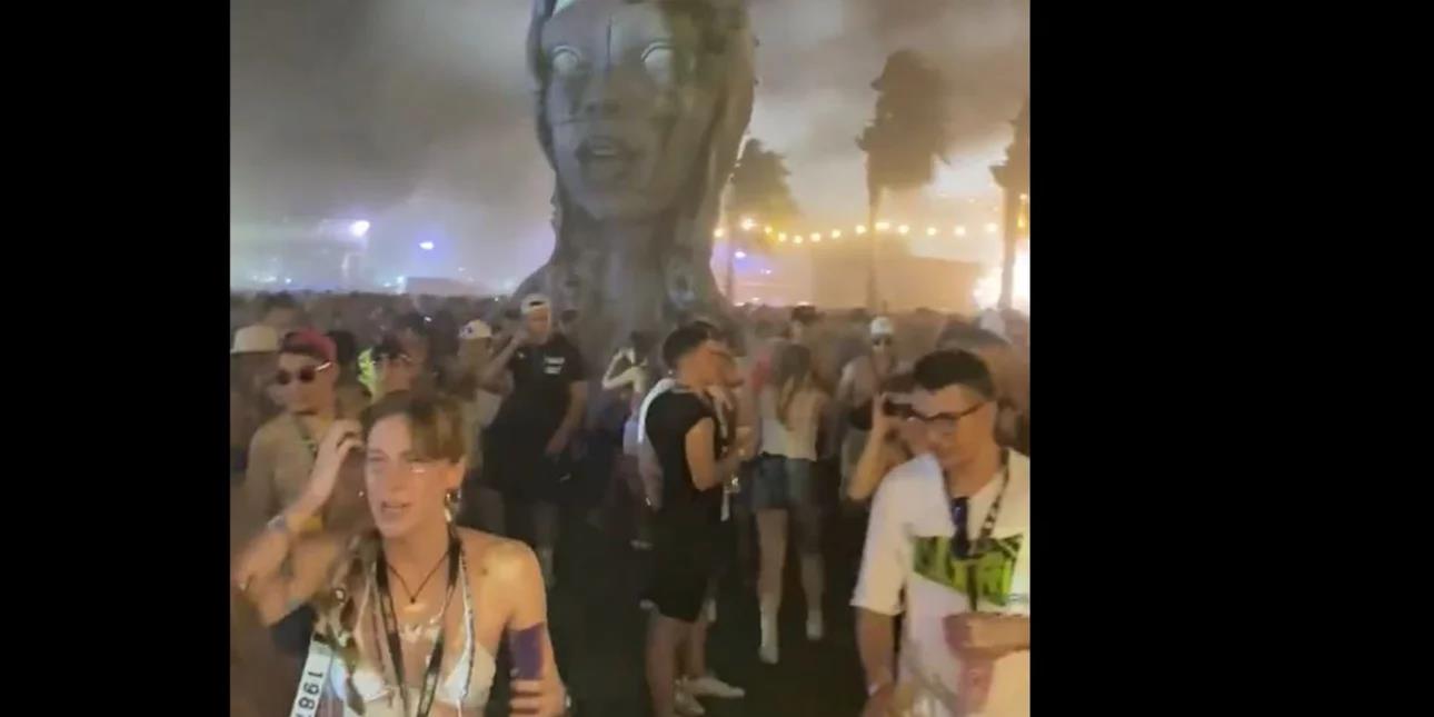 4296256524846801 image