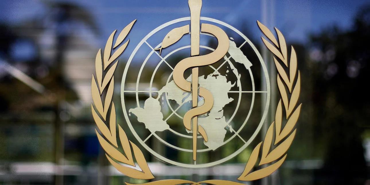 4296964239514803 image