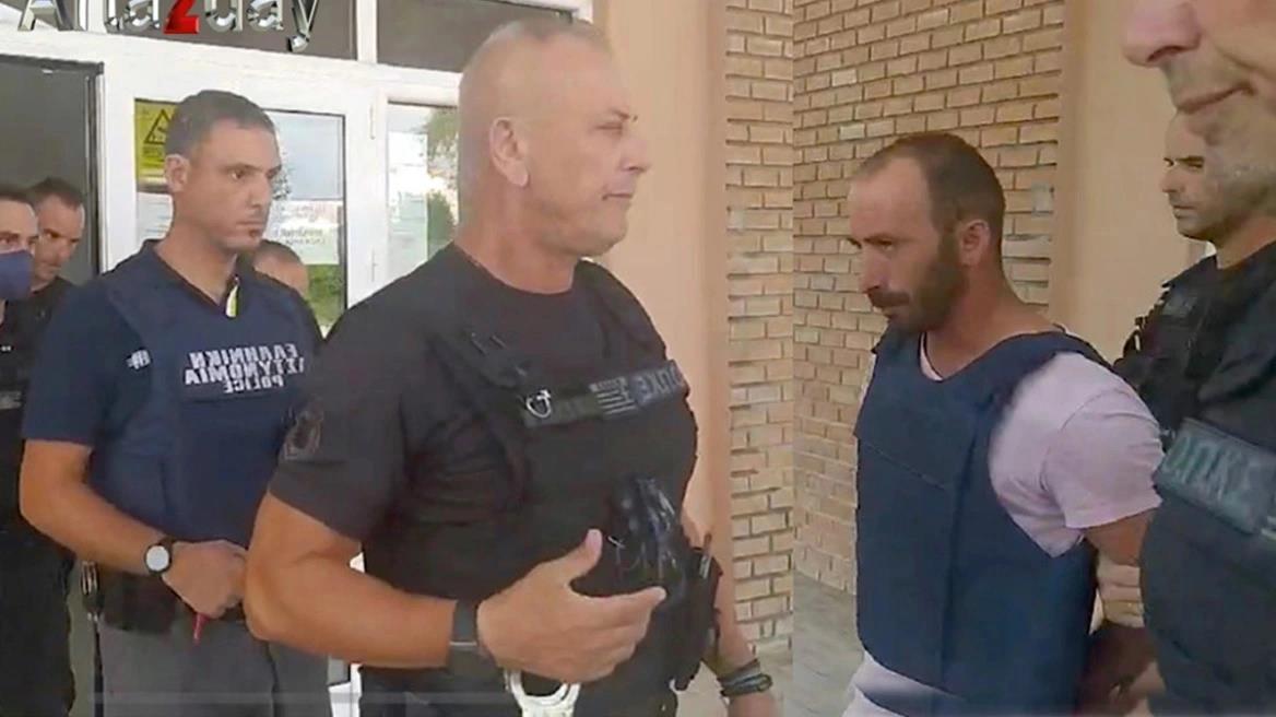 4297119342414513 image