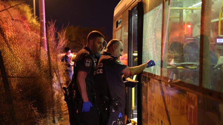 4297163035978963 image