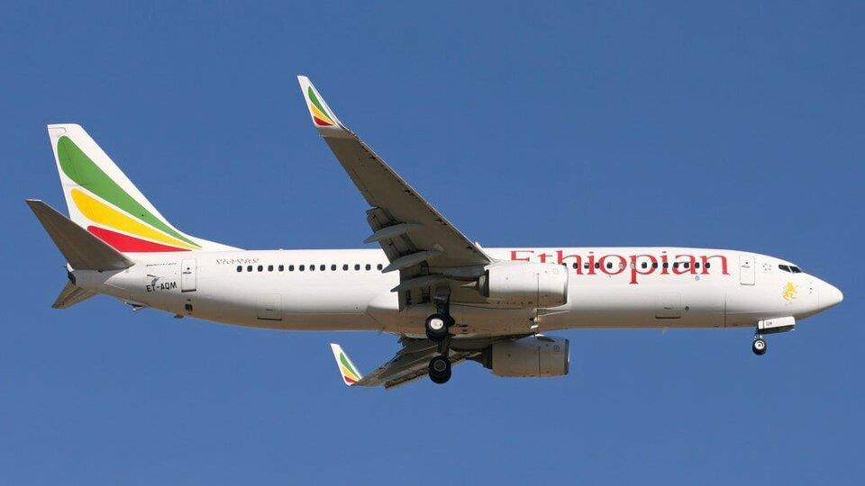 4301613663930422 image