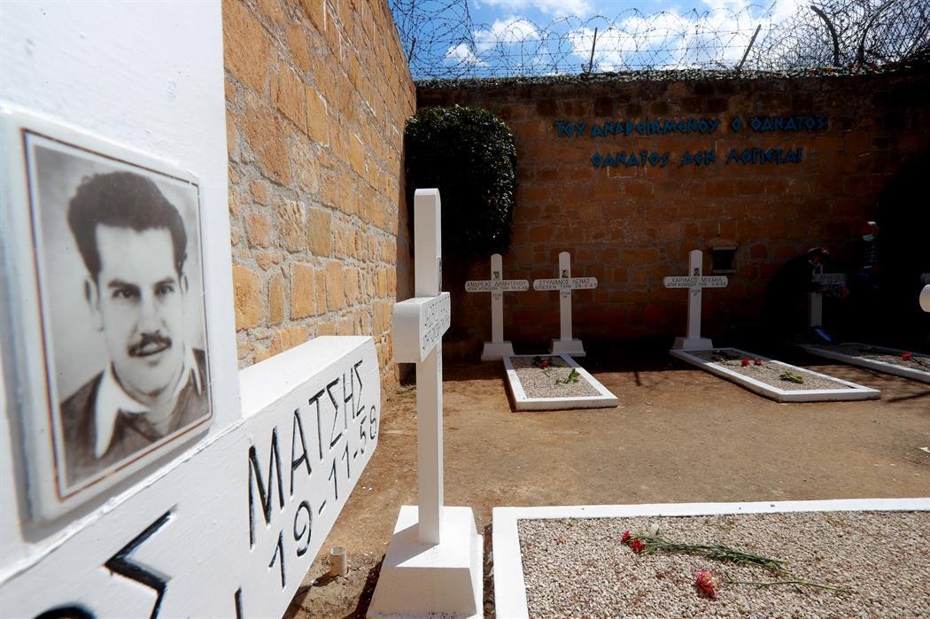 4301743029506218 image