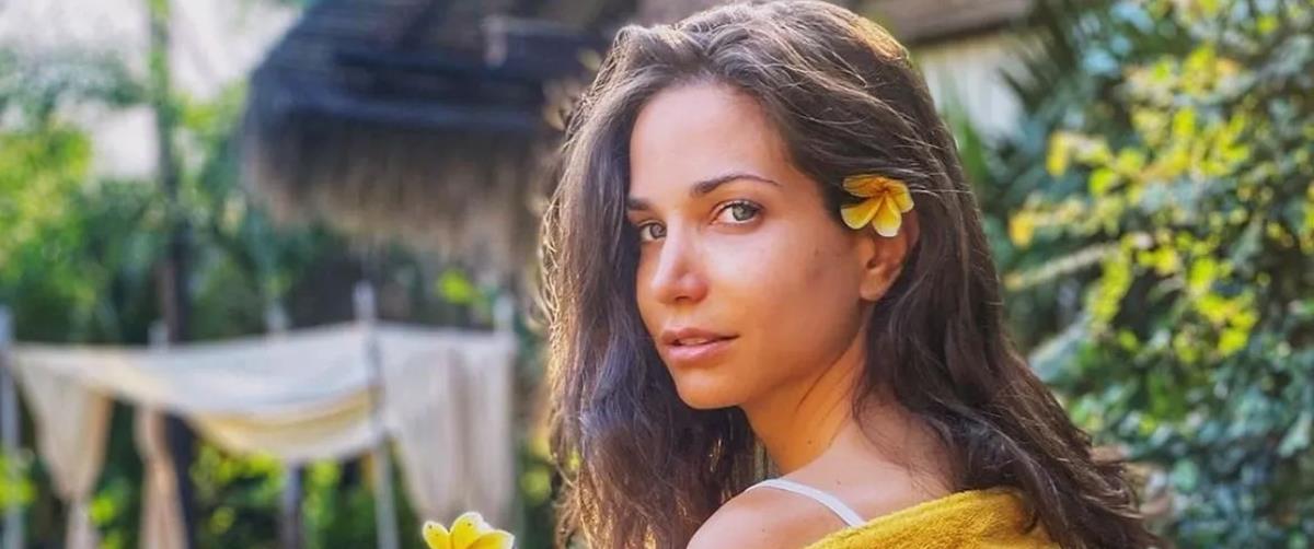 4304769033931392 asdfasdfsadf