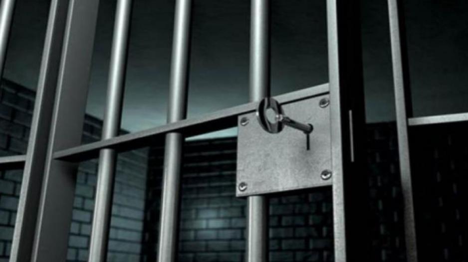 4307725562693196 image